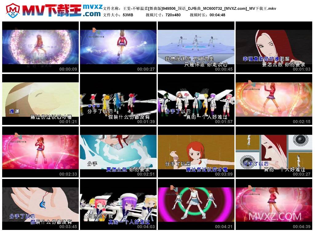 王雯-不够温柔[舞曲版]949506_国语_DJ嗨曲_MC600732